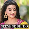 Seene Se Dil Do