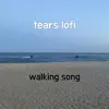 Tears Lofi - Single album lyrics, reviews, download
