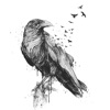 Kick Back - Single