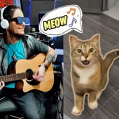 Meow nº1 (The Cat song) artwork