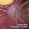 Spider Webs - Single album lyrics, reviews, download