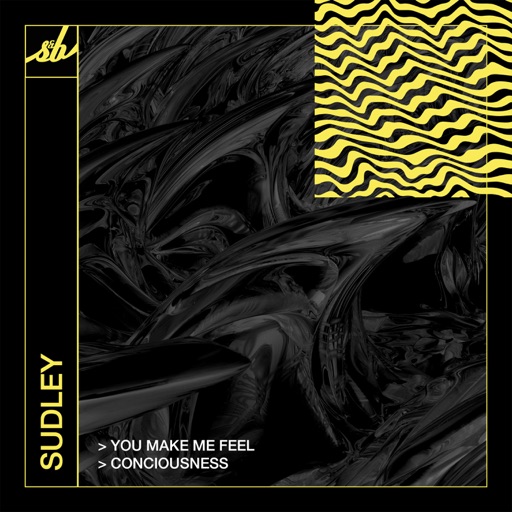 You Make Me Feel / Consciousness - Single by Sudley