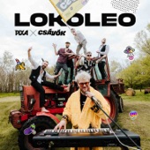 Lokoleo (feat. Csávók) artwork