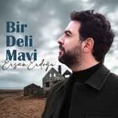 Bir Deli Mavi artwork