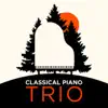 Stream & download Piano Trio No. 1 in D Minor, Op. 49: I Molto allegro ed agitato