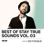 Best Of Stay True Sounds, Vol. 3: Mixed By Kid Fonque (DJ Mix) artwork