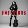 Hatebirds - Single