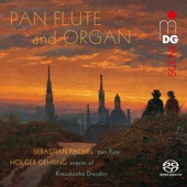Pan Flute and Organ artwork