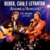 Beber, Cair e Levantar - 15 anos (Ao Vivo)