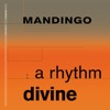 A Rhythm Divine - EP