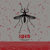 ISIS - Hive Destruction