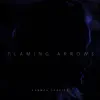 Flaming Arrows - Single album lyrics, reviews, download
