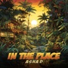 Asha D - In the Place