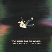 Too Small For The World artwork