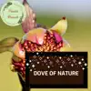 Stream & download Dove of Nature