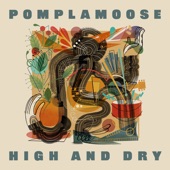 Pomplamoose - High and Dry