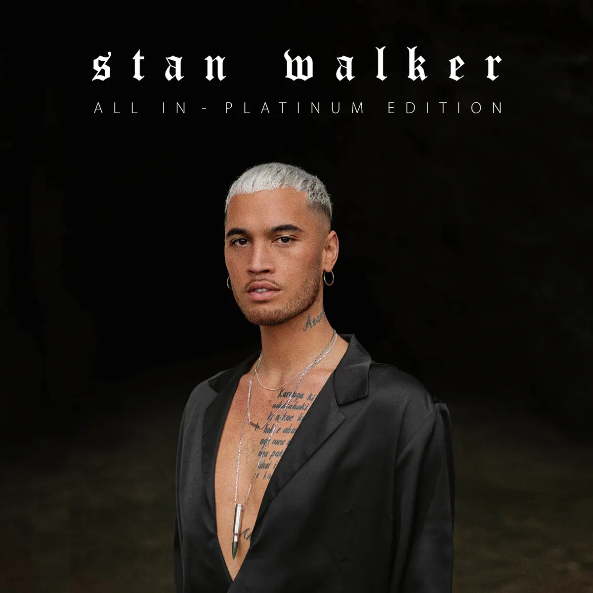 Stan Walker - All In (Platinum Edition) (2023) [iTunes Plus AAC M4A]-新房子