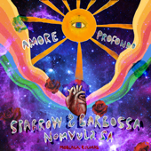 Amore Profondo - EP - Sparrow & Barbossa & Nomvula SA