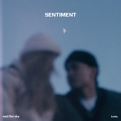 Sentiment artwork