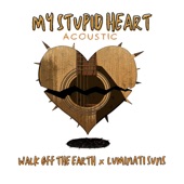 My Stupid Heart (Acoustic Version) artwork