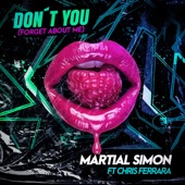 Don't You (Forget About Me) (feat. Chris Ferrara) artwork