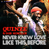 Never Knew Love Like This Before (Extended Mix) - Quinze & Bob Sinclar