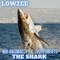 The Shark - Lowzee lyrics