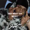 This What You Want? - EP album lyrics, reviews, download