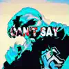 Can't say (Prod. WellFed x Dynox) [Prod. WellFed x Dynox] - Single album lyrics, reviews, download