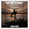 Can't Find the Words - Single