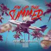 F'n Up the Summer (Radio Edit) - Single album lyrics, reviews, download