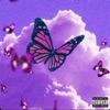 Purple Butterfly