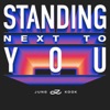 Standing Next to You (Holiday Remix) - Single