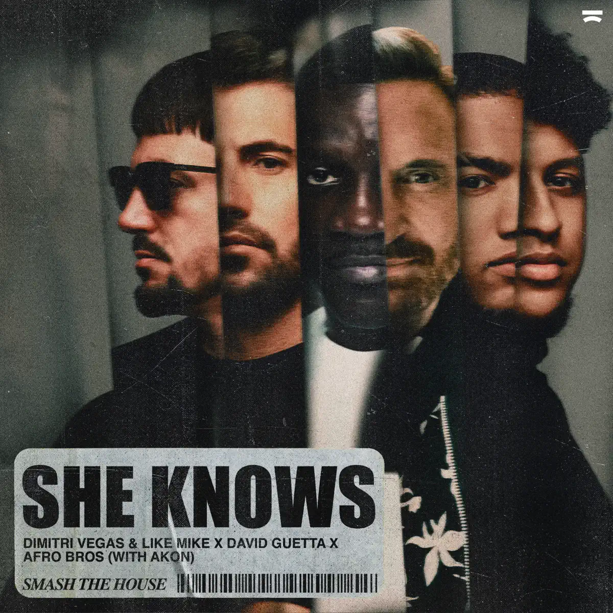 Dimitri Vegas & Like Mike, David Guetta & Afro Bros - She Knows (With Akon) - Single (2023) [iTunes Plus AAC M4A]-新房子