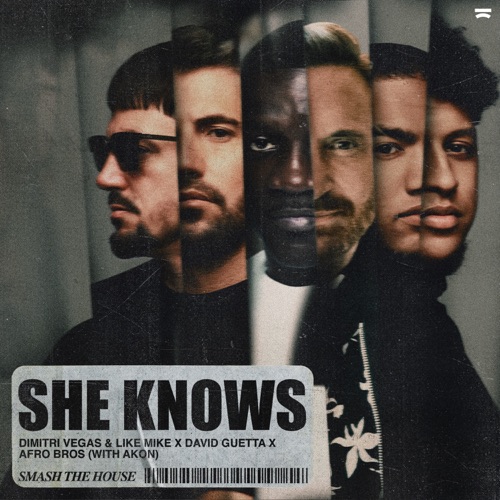Dimitri Vegas & Like Mike, David Guetta & Afro Bros – She Knows (With Akon) – Single [iTunes Plus AAC M4A]