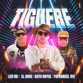 Tíguere - Single by Gato Royal, Yofrangel, El Boke & Leo RD album reviews, ratings, credits