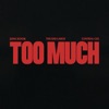 TOO MUCH - Single, 2023