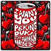 I Want You (feat. Darren Hayes) artwork