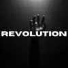Revolution (feat. Tom Moana) - Single album lyrics, reviews, download