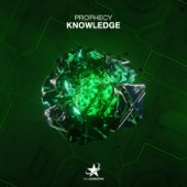 Knowledge (Extended Mix) artwork