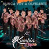 Nunca Voy a Olvidarte - Single