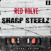 Sharp Steelz (feat. Ajaypal Aulakh) artwork