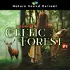Enchanted Celtic Forest album lyrics, reviews, download