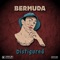Disfigured - BERMUDA lyrics