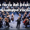 Marsel Numanaj - La Forza del Destino (Giuseppe Verdi)