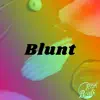 Blunt - Single album lyrics, reviews, download