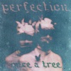 Perfection - Single