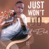 Just Won't Do - Single