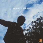 What I Need (feat. Teddy Travis) artwork