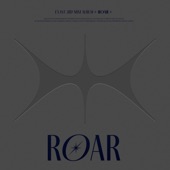 3rd Mini Album [ROAR] artwork
